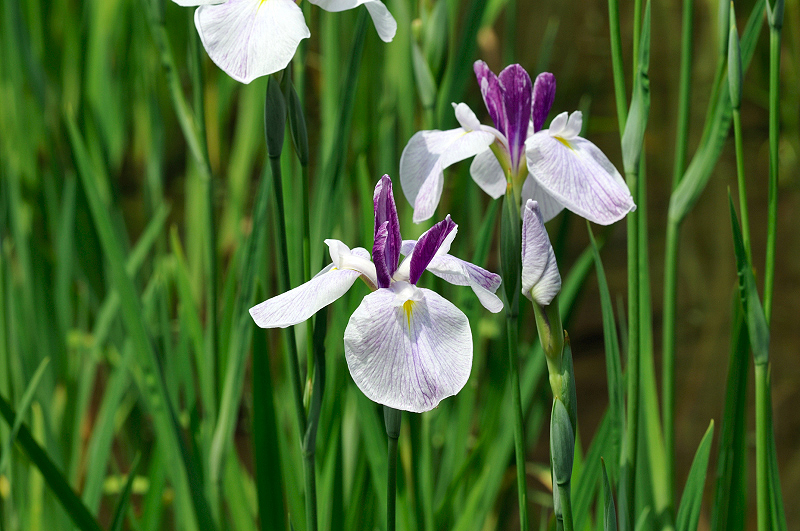 image0127