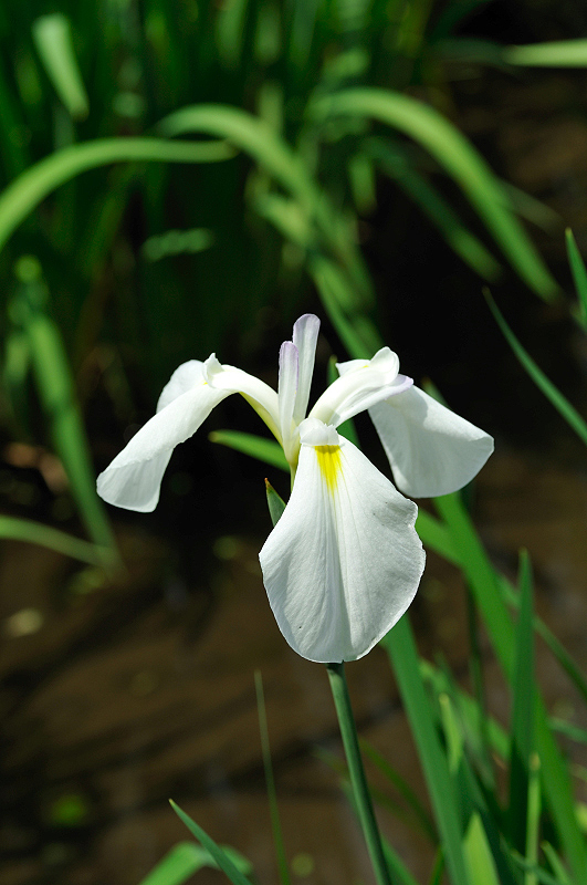 image0141