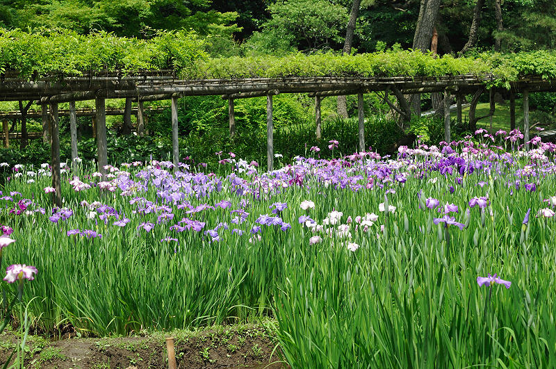 image0146