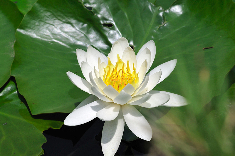 image0152