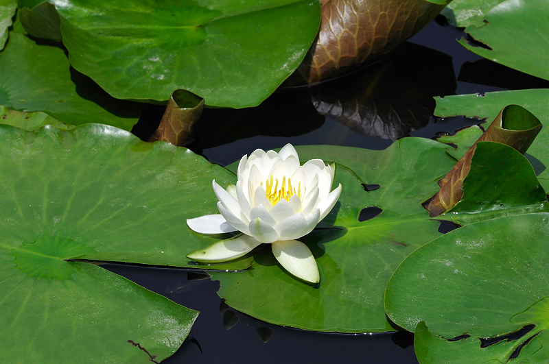 image0156