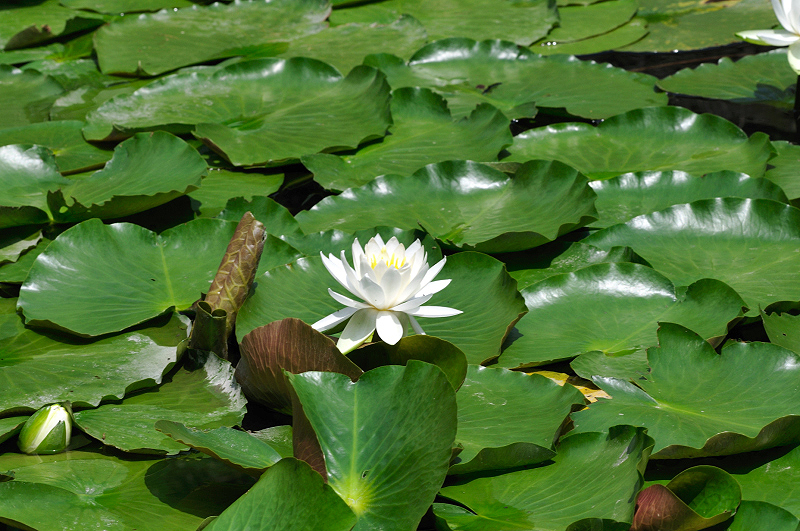 image0159