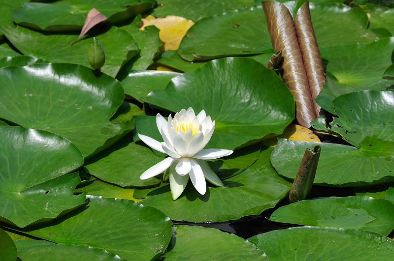 image0162