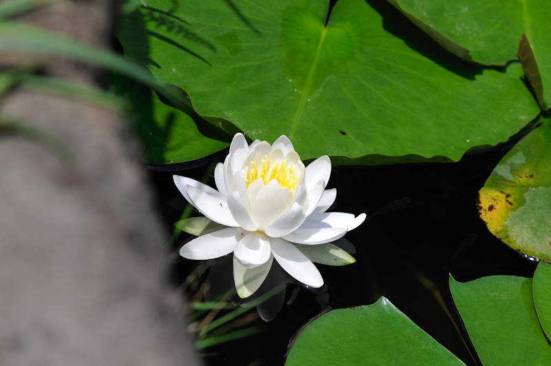 image0163