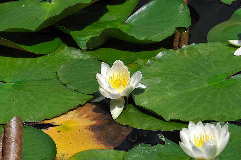image0164