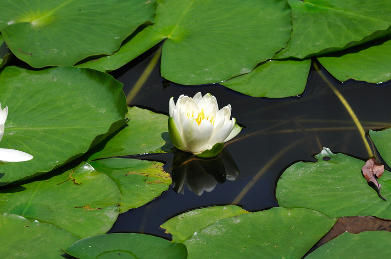image0166
