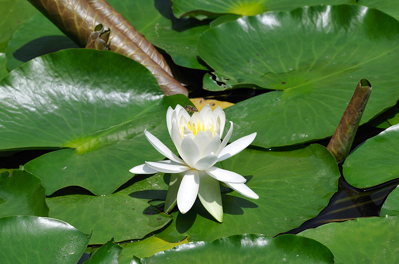 image0168