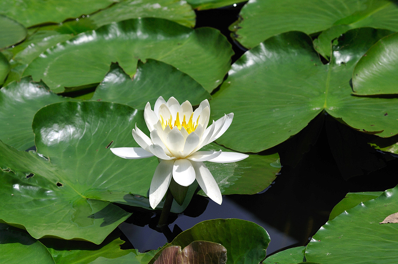 image0169