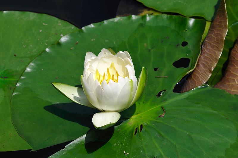 image0170