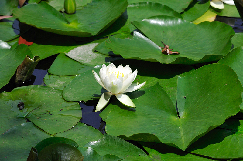 image0172
