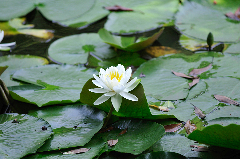 image0173