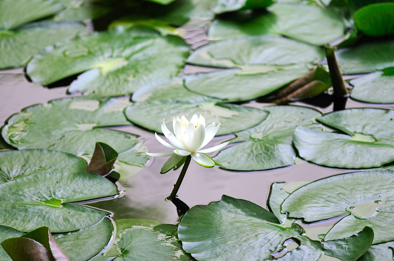 image0179