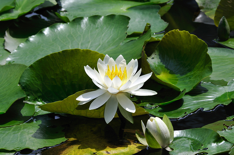 image0181