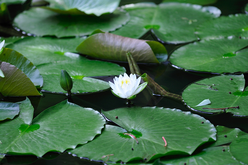 image0186