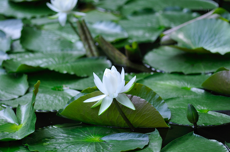 image0187