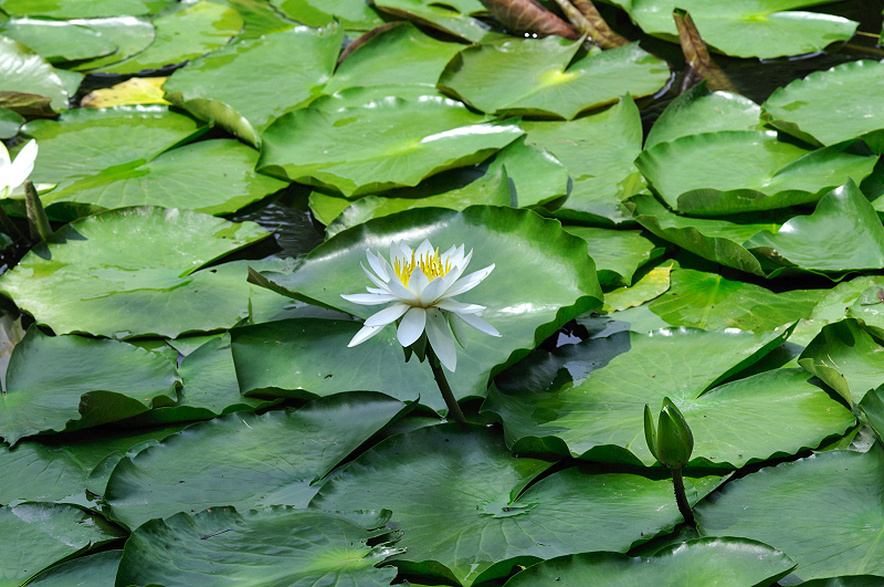 image0195