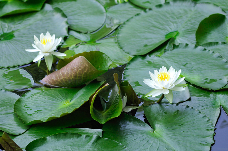 image0197