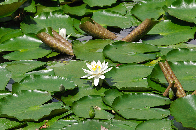 image0199