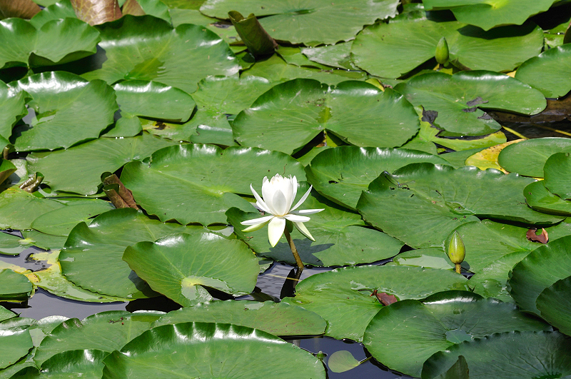 image0200