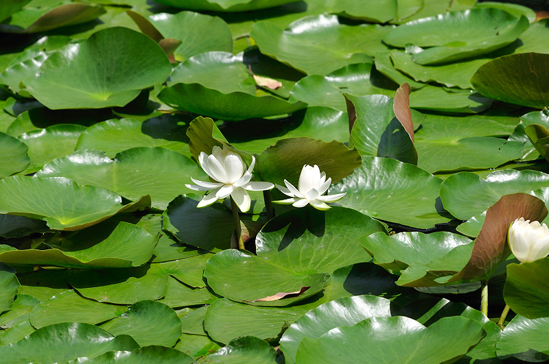 image0201