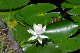 image0160