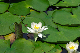 image0161