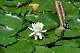 image0162