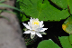 image0163