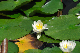 image0164
