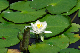 image0165