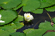 image0166