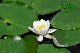 image0167