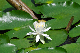 image0168