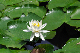 image0169