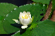 image0170