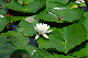 image0172