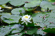 image0173
