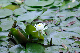 image0174