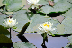 image0175