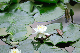 image0176