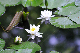 image0177