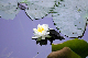 image0178