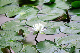 image0179
