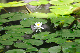 image0180