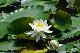 image0181