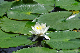 image0182