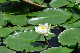 image0183