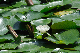 image0184