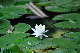 image0185
