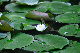 image0186